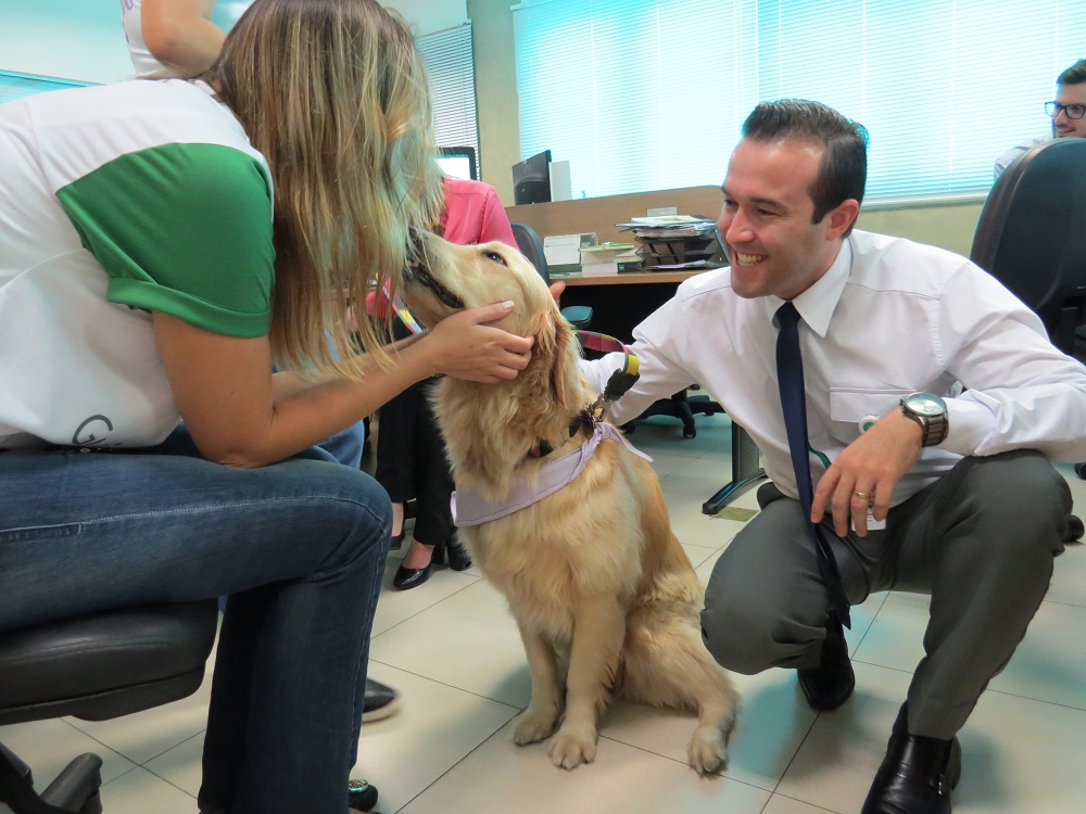 A Unimed Rio Preto é parceira do projeto Cão Afeto