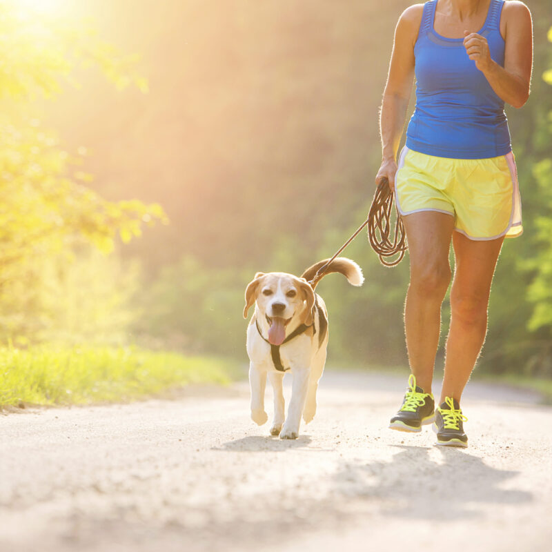 Cuidados básicos com a saúde no verão